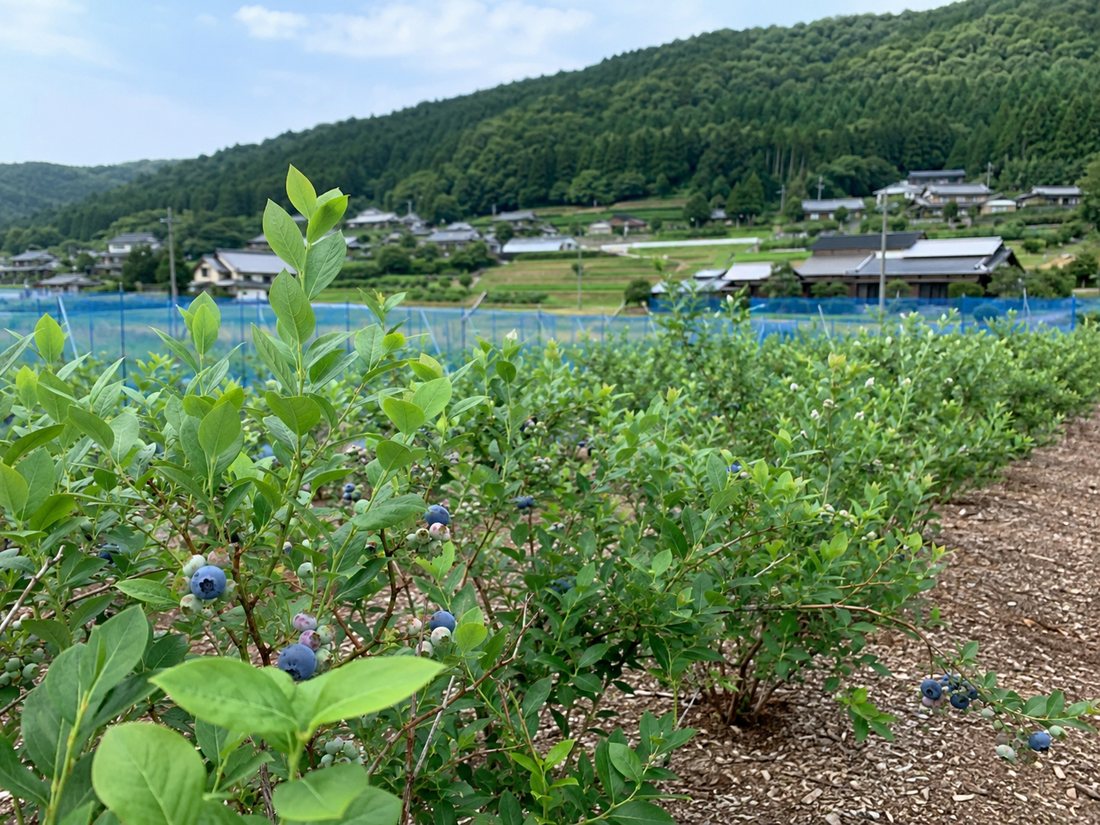 地域とのつながりを大切に
